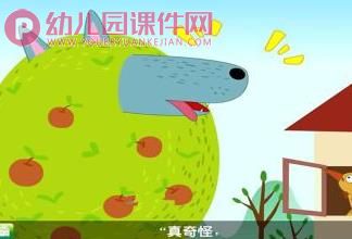 中班语言课件PPT《母鸡和苹果树》PPT课件图片