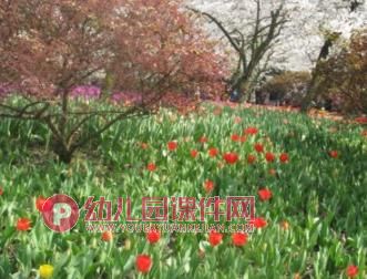 中班语言课件PPT《桃花瓣儿》PPT课件图片