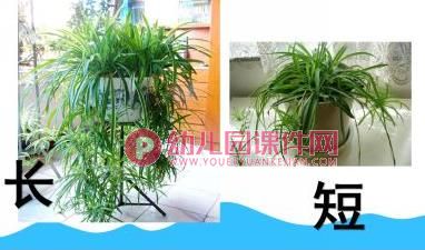 中班课件PPT《长短中班》PPT课件图片
