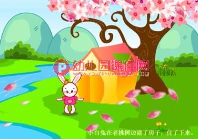 中班语言课件PPT《桃树下的小白兔》PPT课件图片