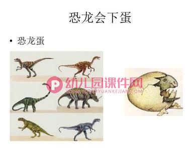 中班故事活动课件PPT《小兔孵蛋》PPT课件图片