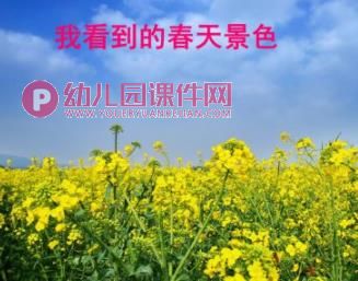中班综合课件PPT《美丽的春天》PPT课件图片