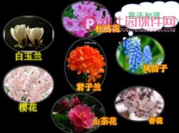 中班语言课件PPT《春天是一本书》PPT课件图片