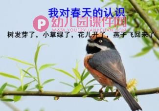 中班综合课件PPT《美丽的春天》PPT课件图片