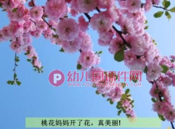 中班语言课件PPT《桃花瓣》PPT课件图片