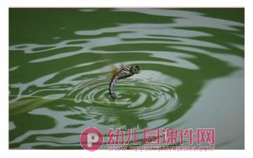 中班散文课件PPT《圆圆的春天》PPT课件图片