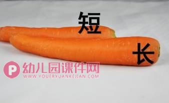 中班课件PPT《长短中班》PPT课件图片