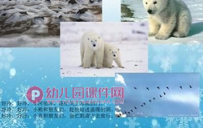 中班故事课件PPT《冬天的童话》PPT课件图片