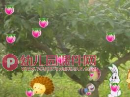 中班语言课件PPT《桃花瓣儿》PPT课件图片