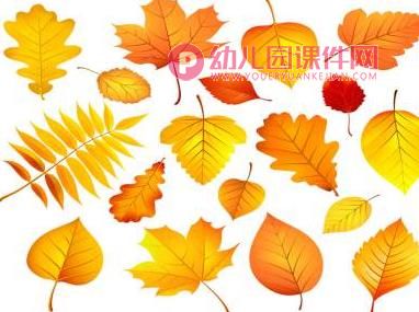 中班综合课件PPT《捡落叶》PPT课件图片