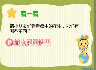 中班综合课件PPT《花生用处大》PPT课件图片