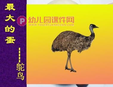 中班综合课件PPT《很大很大的蛋》PPT课件图片