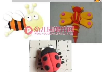 中班主题课件PPT《昆虫的身体组成部分》PPT课件图片
