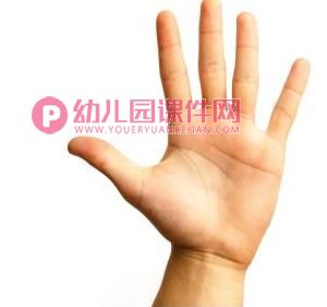 中班综合活动课件PPT《灵巧的手》PPT课件图片