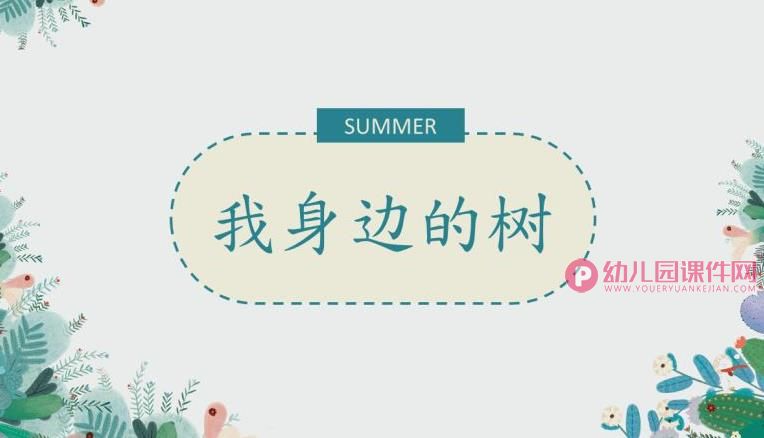 中班课件PPT《我身边的树》PPT课件图片