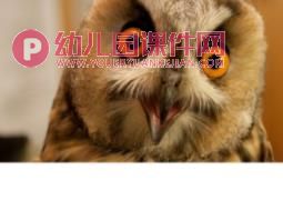 中班探索课件PPT《圆圆的东西》PPT课件图片