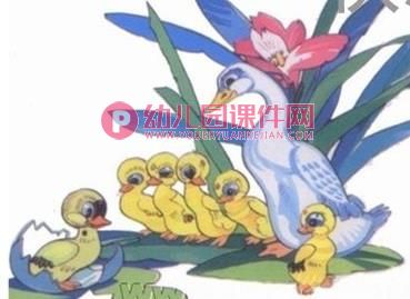 中班教学活动课件课件PPT《丑小鸭》PPT课件图片