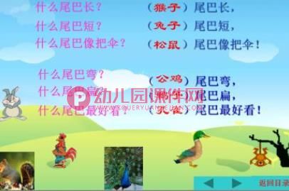 中班听说游戏课件PPT《动物的尾巴不一样》PPT课件图片