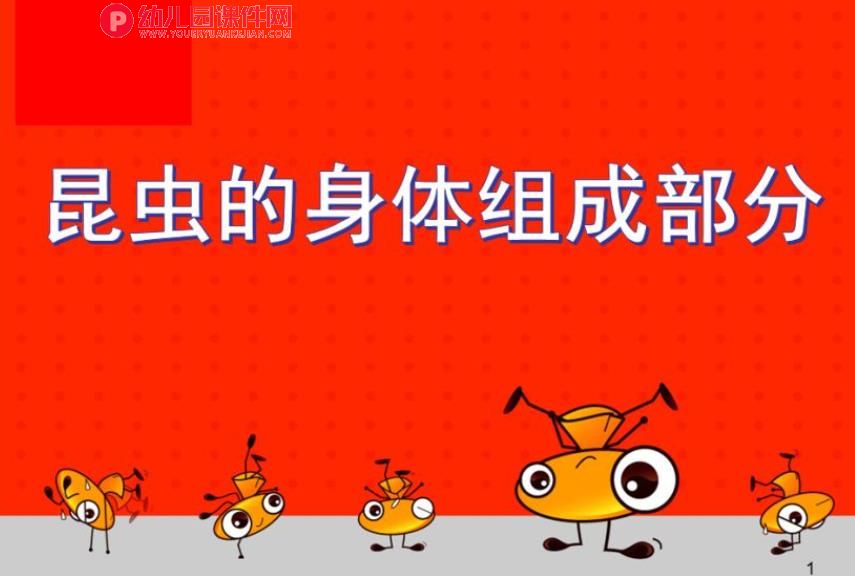 中班主题课件PPT《昆虫的身体组成部分》PPT课件图片