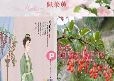 中班节日课件PPT《重阳节》PPT课件图片
