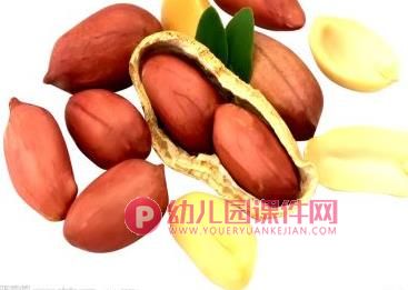 中班综合课件PPT《花生用处大》PPT课件图片