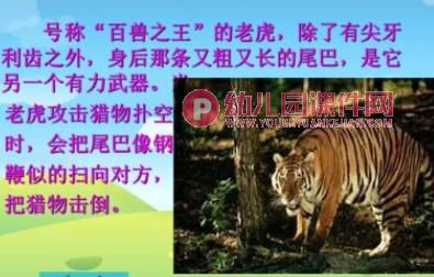 中班听说游戏课件PPT《动物的尾巴不一样》PPT课件图片
